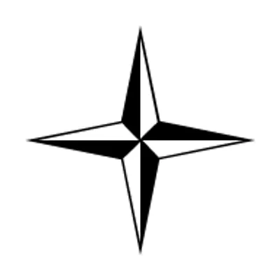 Stone Island Brand Logo